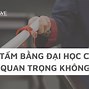 Học Đại Học Thì Học Những Gì