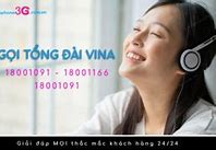 Sdt Tổng Đài Vina