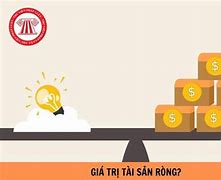 Tài Sản Ròng Trên Báo Cáo Tài Chính